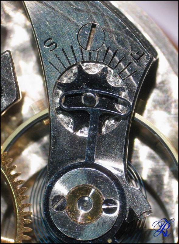 Waltham tasca cassa oro